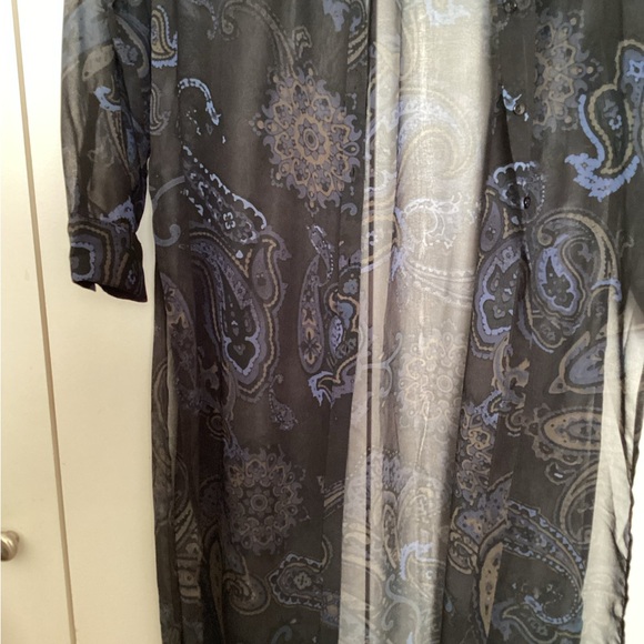 Sheer Zara Dress/coat - Picture 3 of 3